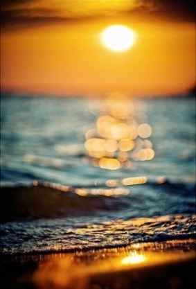 Beach Party